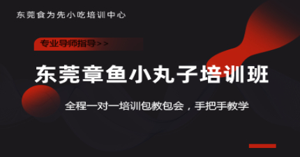 东莞章鱼小丸子培训班