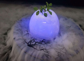 T5TENG1B%N6PS2}0JGMLF8T T5TENG1B%N6PS2}0JGMLF8T