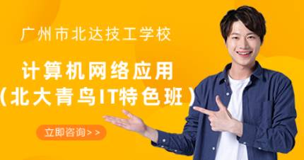 广州计算机网络应用IT班