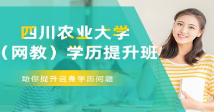 四川农业大学（网教）学历提升班