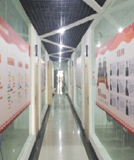 网博优壹学习环境5 网博优壹学习环境5