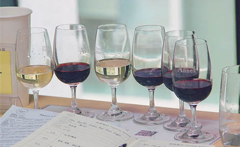 成都德斯汀安葡萄酒学院