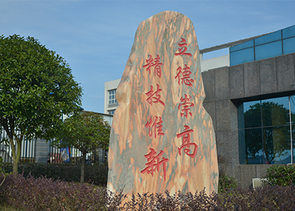 环境 (4) 环境 (4)