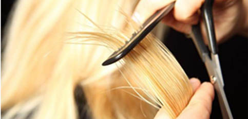 商业发型设计提升班