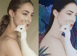 平面设计 平面设计