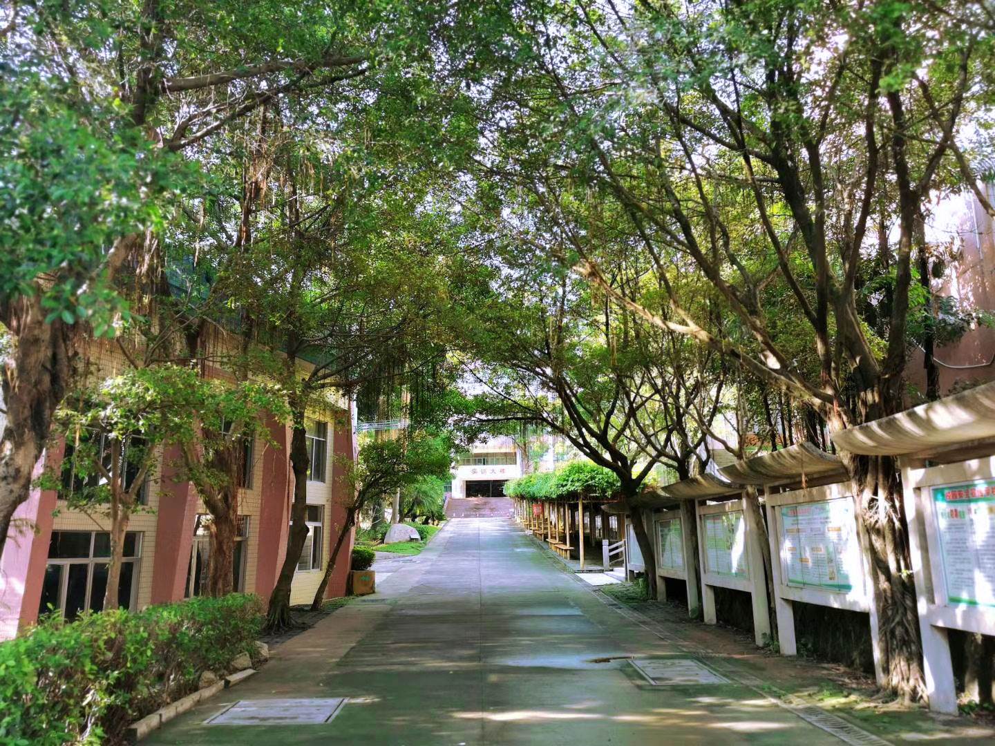 校园大道 校园大道