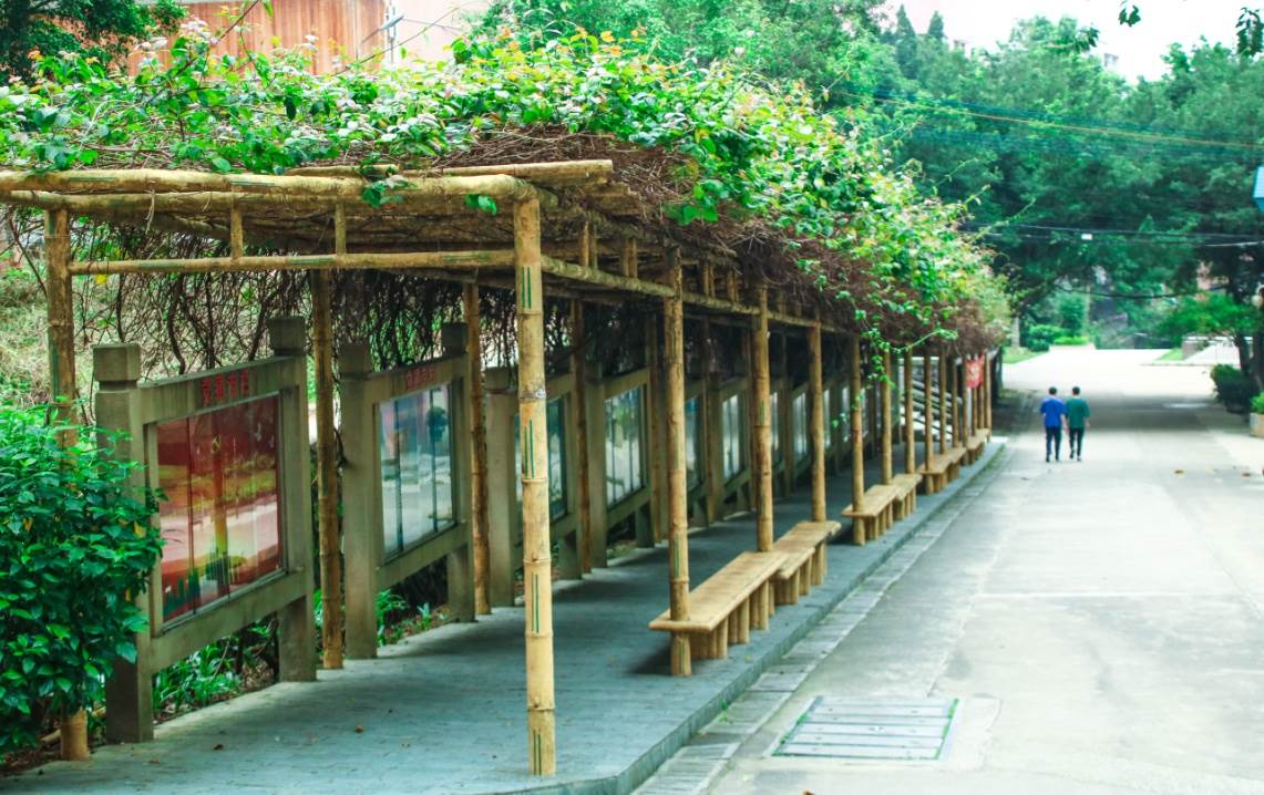 林荫小道 林荫小道