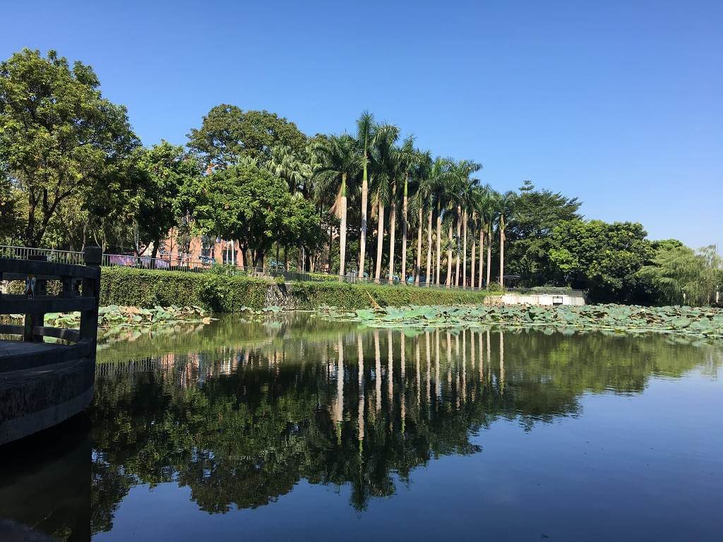 校园湖色 校园湖色