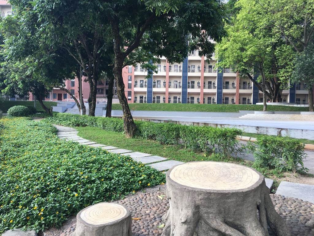 校园景色 校园景色