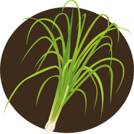 上海五加一藝術(shù)插花培訓班 上海五加一藝術(shù)插花培訓班