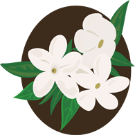 上海五加一藝術(shù)插花培訓班 上海五加一藝術(shù)插花培訓班