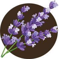 上海五加一藝術(shù)插花培訓班 上海五加一藝術(shù)插花培訓班