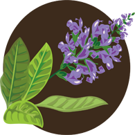 上海五加一藝術(shù)插花培訓班 上海五加一藝術(shù)插花培訓班