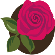 上海五加一藝術(shù)插花培訓班 上海五加一藝術(shù)插花培訓班