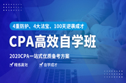 CPA高效自学班
