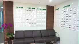 上海常青藤教育 学校环境 上海常青藤教育 学校环境