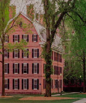 上海常青藤教育 学校环境 上海常青藤教育 学校环境