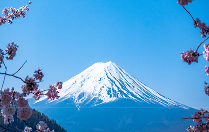 上海日本留学直通班 上海日本留学直通班