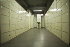 img8_3 img8_3