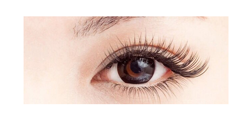 美睫高级班简介