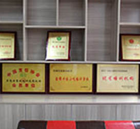 學(xué)校榮譽(yù) 學(xué)校榮譽(yù)