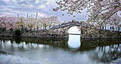 南京艺术风光专业班简介