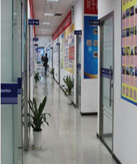 东莞北大青鸟金码学校 学校环境 东莞北大青鸟金码学校 学校环境