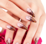 学生作品 学生作品