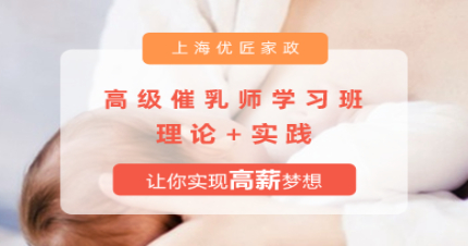 上海高级催乳师学习班