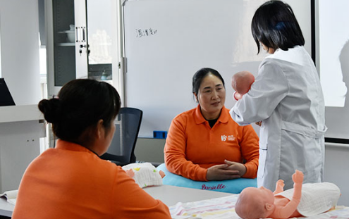 高级母婴护理 高级母婴护理