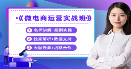 东莞微电商运营实战班