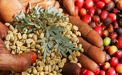 市場(chǎng)前景 市場(chǎng)前景