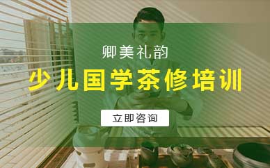 南京少儿国学亲子茶修培训课程