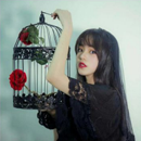 上海抖音手机短视频培训班课程大纲