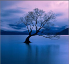 上海时尚摄影顶尖班课程大纲