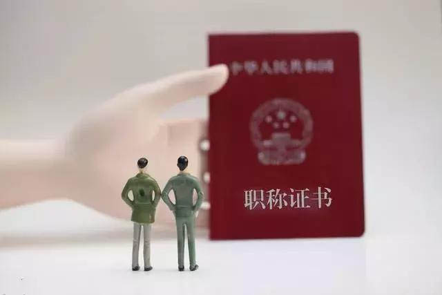 职称入户