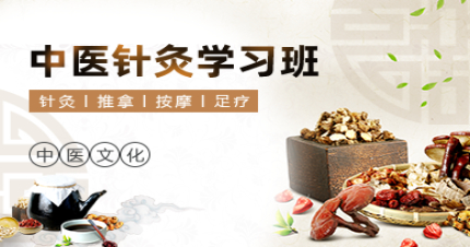 上海专业中医针灸学习班
