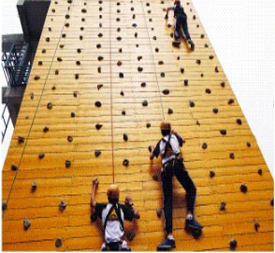 上海卓越中復(fù) 戶(hù)外攀爬 上海卓越中復(fù) 戶(hù)外攀爬