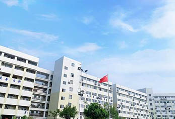 小凡教育

-学校环境