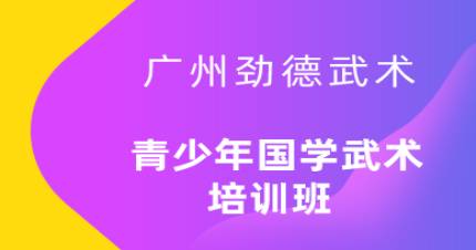 广州青少年国学武术培训班