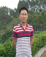 深圳321 电商学院老师