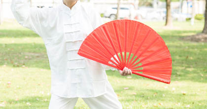 太极功夫扇