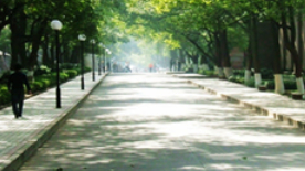 学校环境 (2) 学校环境 (2)