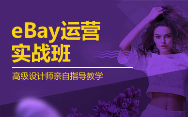 深圳eBay運營實戰(zhàn)班