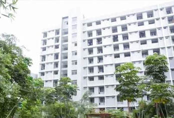 叁人行-學校環(huán)境 叁
人行-學校環(huán)境