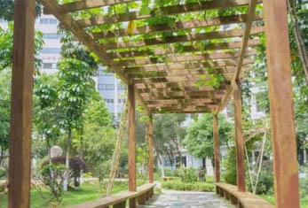 叁人行-學校環(huán)境 叁
人行-學校環(huán)境