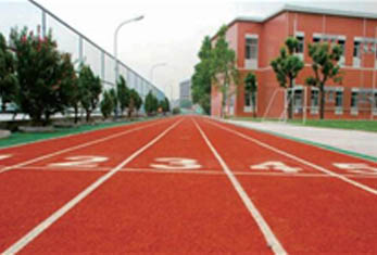 广州纵横-

学校环境