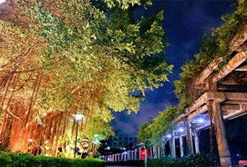 珠海南方IT学院校园