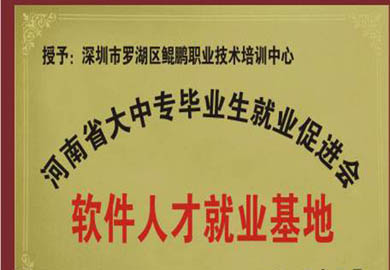 深圳鲲鹏教育荣誉2