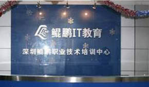 深圳鲲鹏的师资力量怎么样？好不好？